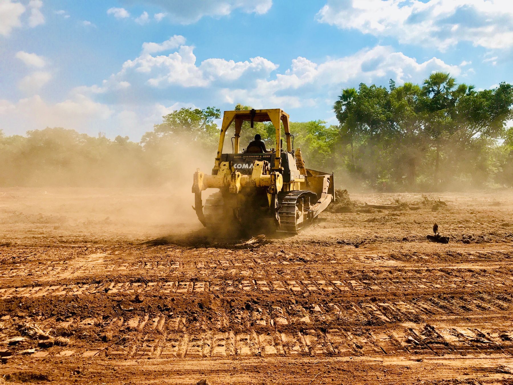 Dozer clearing land