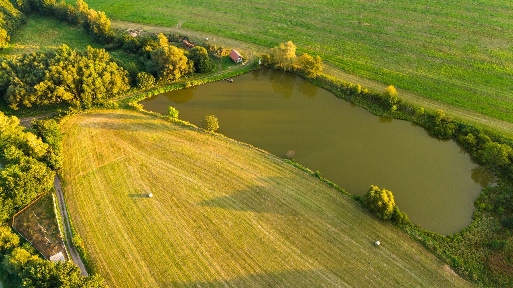 Pond on rural acreage